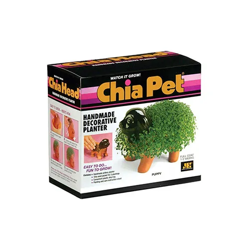 Chia Seeds Boxes