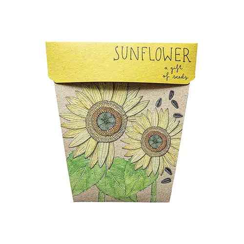 Sunflower Seed Boxes